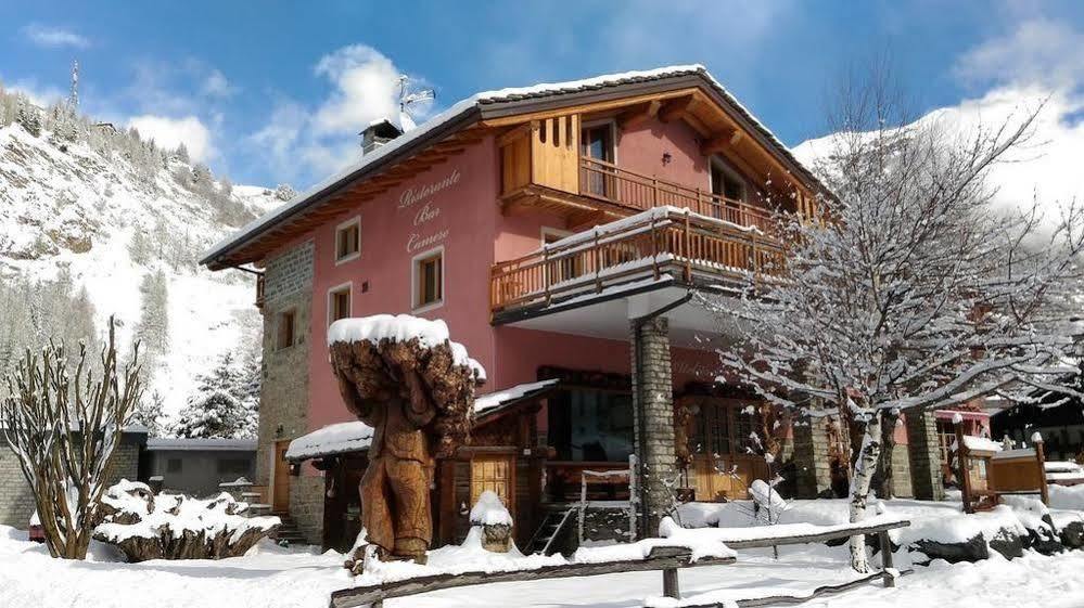 Hibou Chambres - Cogne Exterior photo